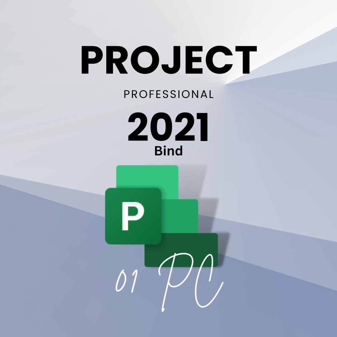 Project 2024 Professional 1PC [BIND]